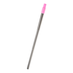 Collapsible Stainless Steel Straw Kit