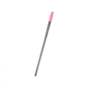 Collapsible Stainless Steel Straw Kit